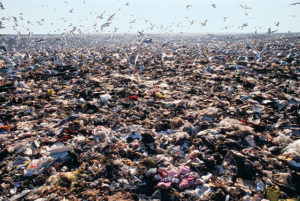 landfill